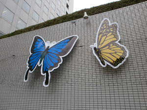 hirokouziich2013_cyo.jpg